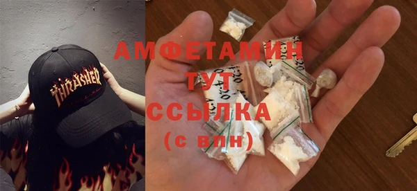 гидра Бронницы