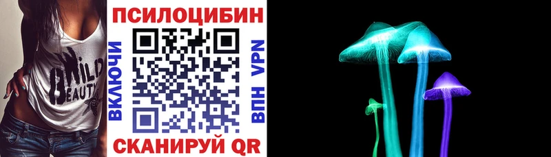 где купить наркоту  Вельск  маркетплейс телеграм  Псилоцибиновые грибы мухоморы 